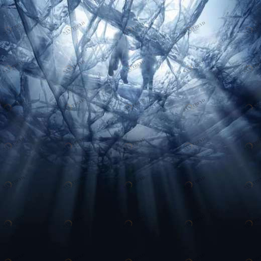 WP02180 Фотообои Verol Фотообои decoline 1х1 м