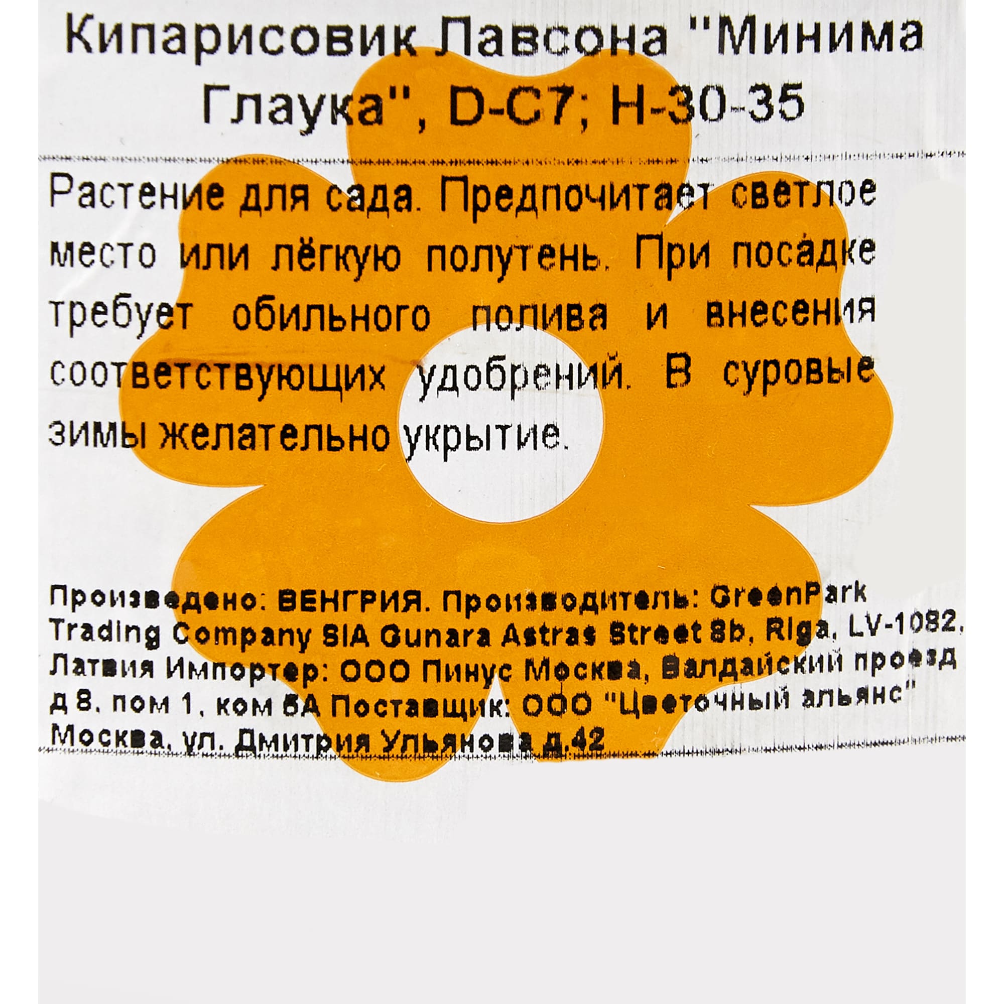 82176390 Кипарисовик Лавсона «Минима Глаука» 7 л 30 см Santreyd  - Вид №1