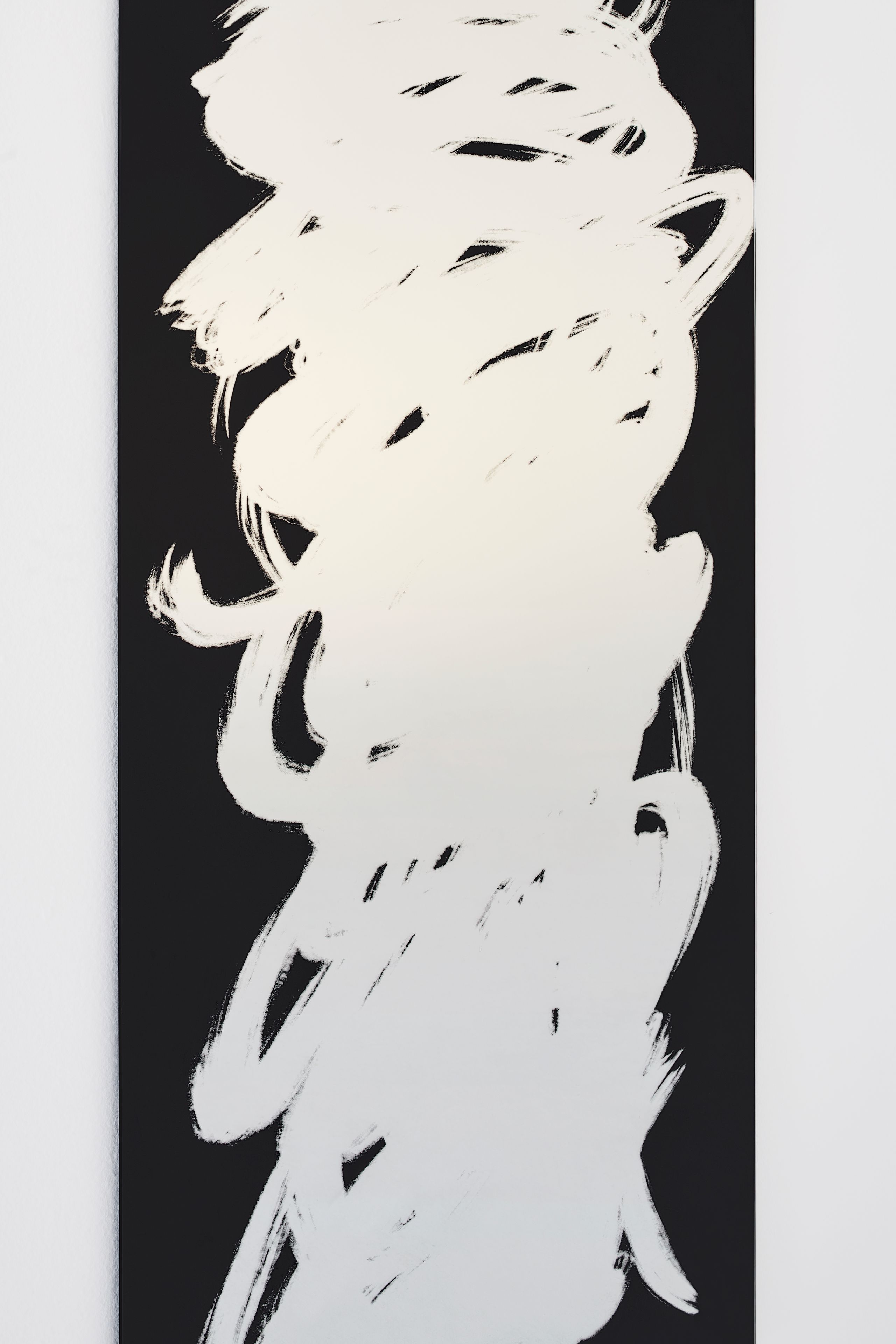 Прямоугольное настенное зеркало Glas Italia Scribble ARCH-00037274 - Вид №4