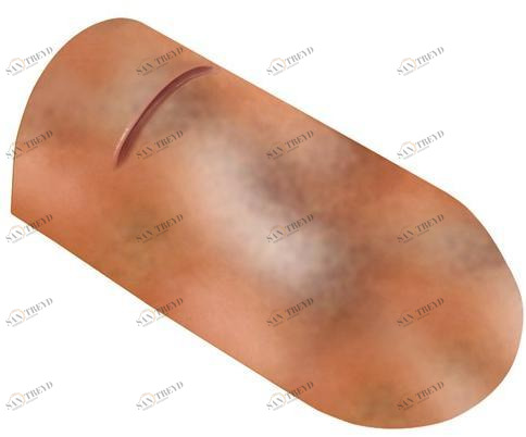 First Corporation Высота Cover-life Ctcpanu