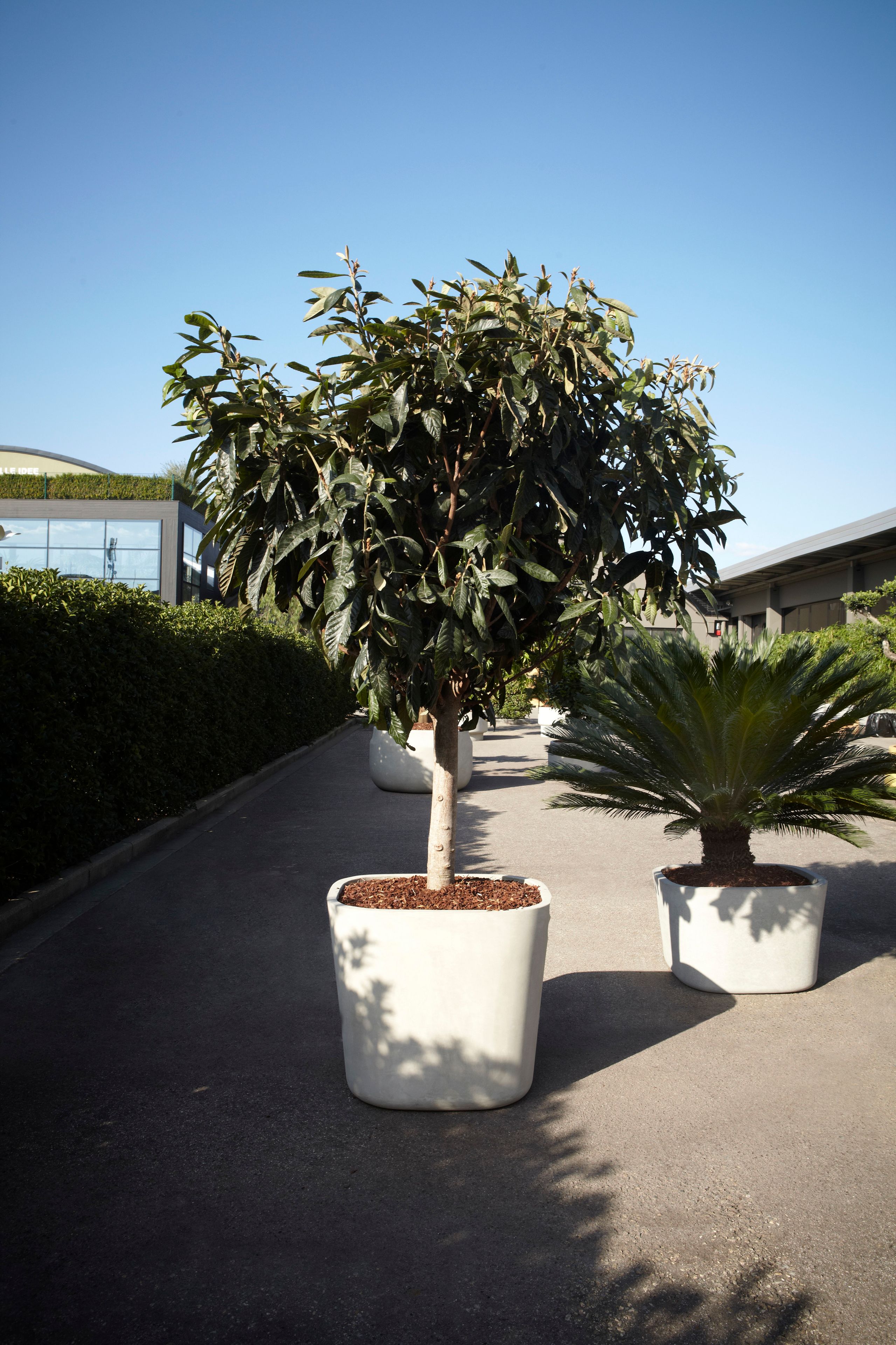 Бетонный садовый горшок Antoniolupi гиганты ARCH-00059523 - Вид №1