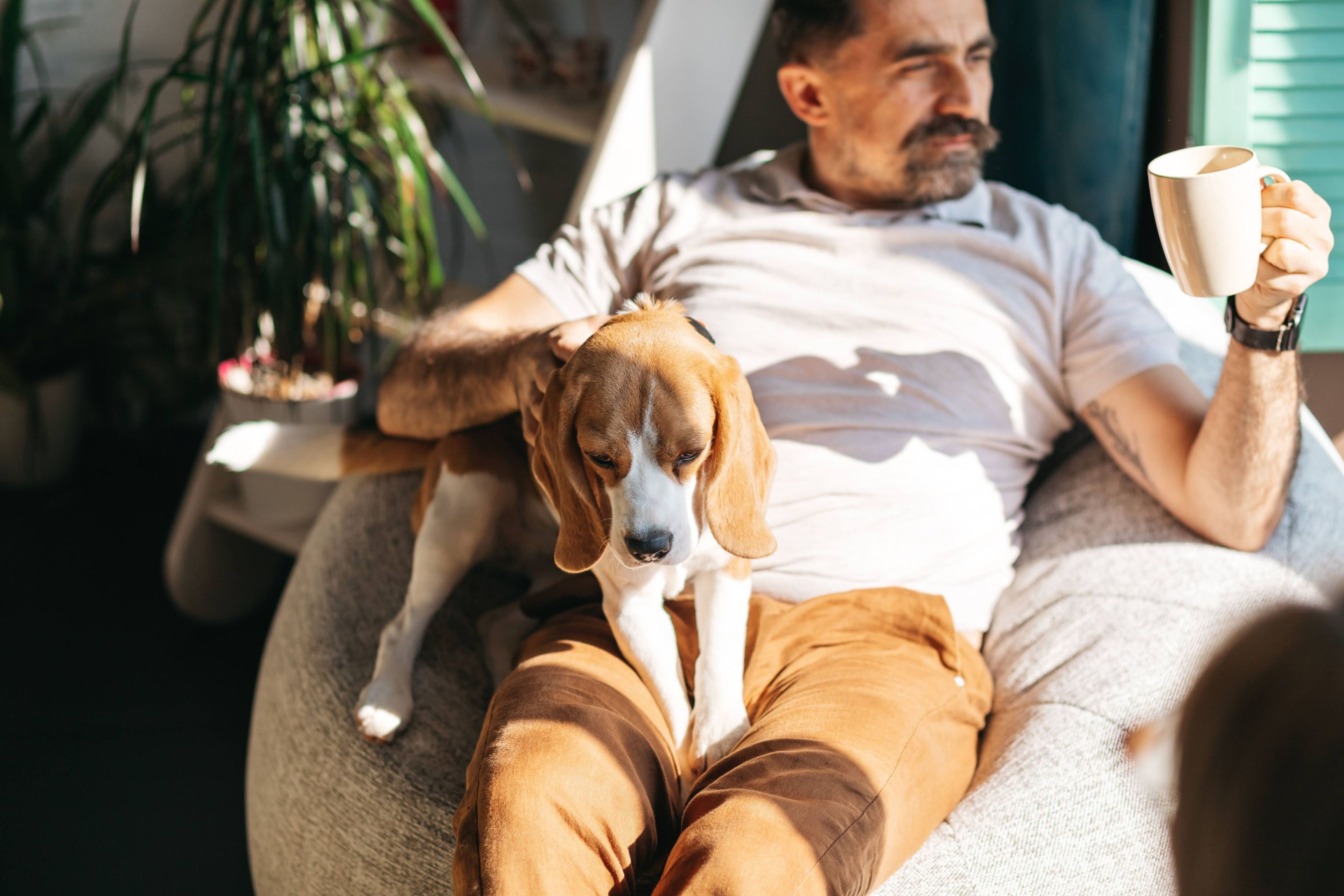 Ткань мешок сад стул Joyf Beanbags ARCH-00061481 - Вид №20