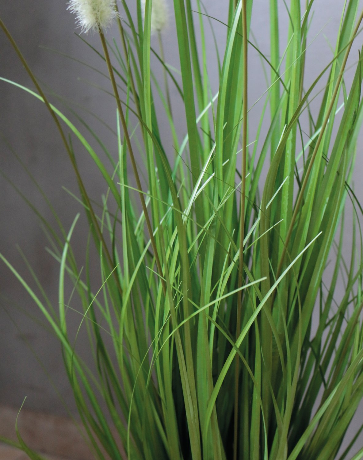 4870 883 a3 Искусственный пучок травы 'Chinese fountain grass', в горшке, 76 см, зеленый H-andreas  - Вид №4