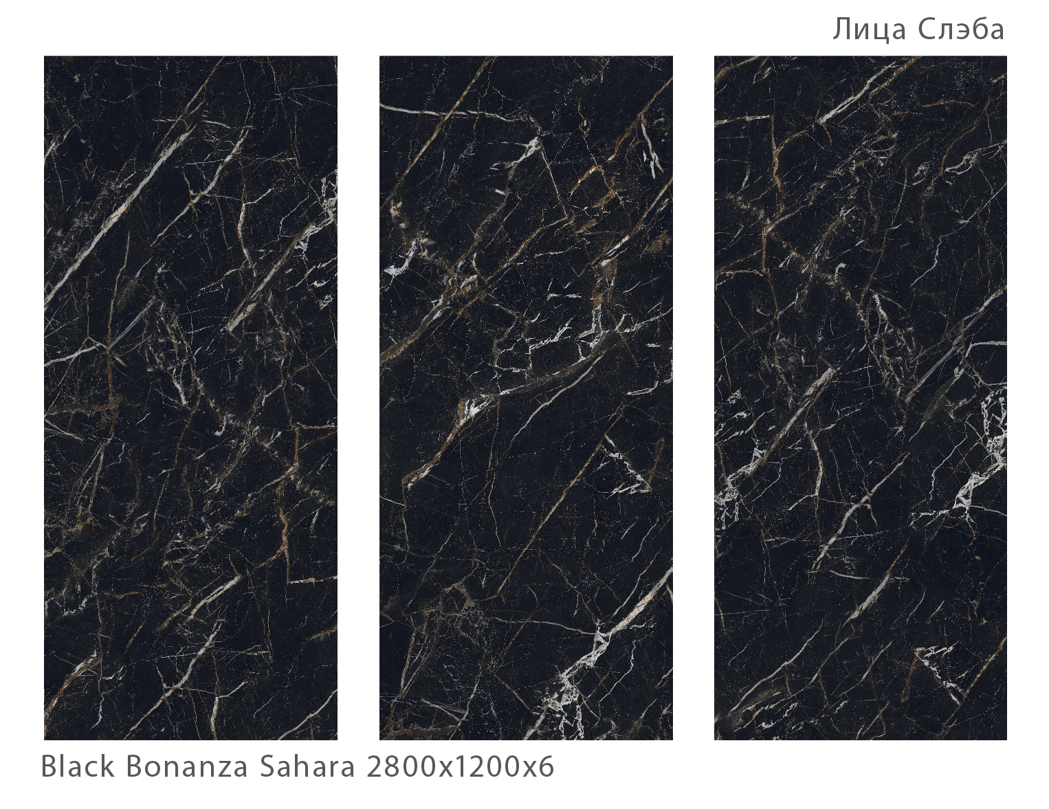 STAROSLABS MATT BLACK BONANZA: Элегантность без границ STP-ST330 INCOLOR - Вид №1