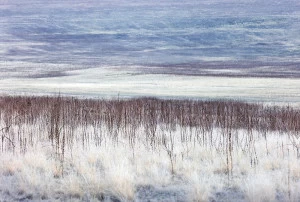 Панно на стену пластификация 90х60 см "180°" PANKOVSKY STUDIO ПЛАСТИФИКАЦИЯ 015885 Белый;голубой;разноцветный