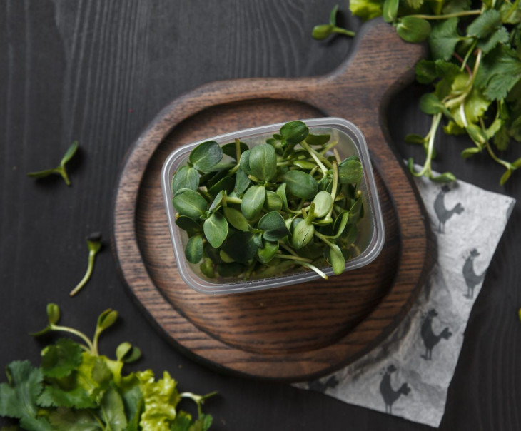 9683 Микрозелень Подсолнечника Вкусляндия  - Вид №1