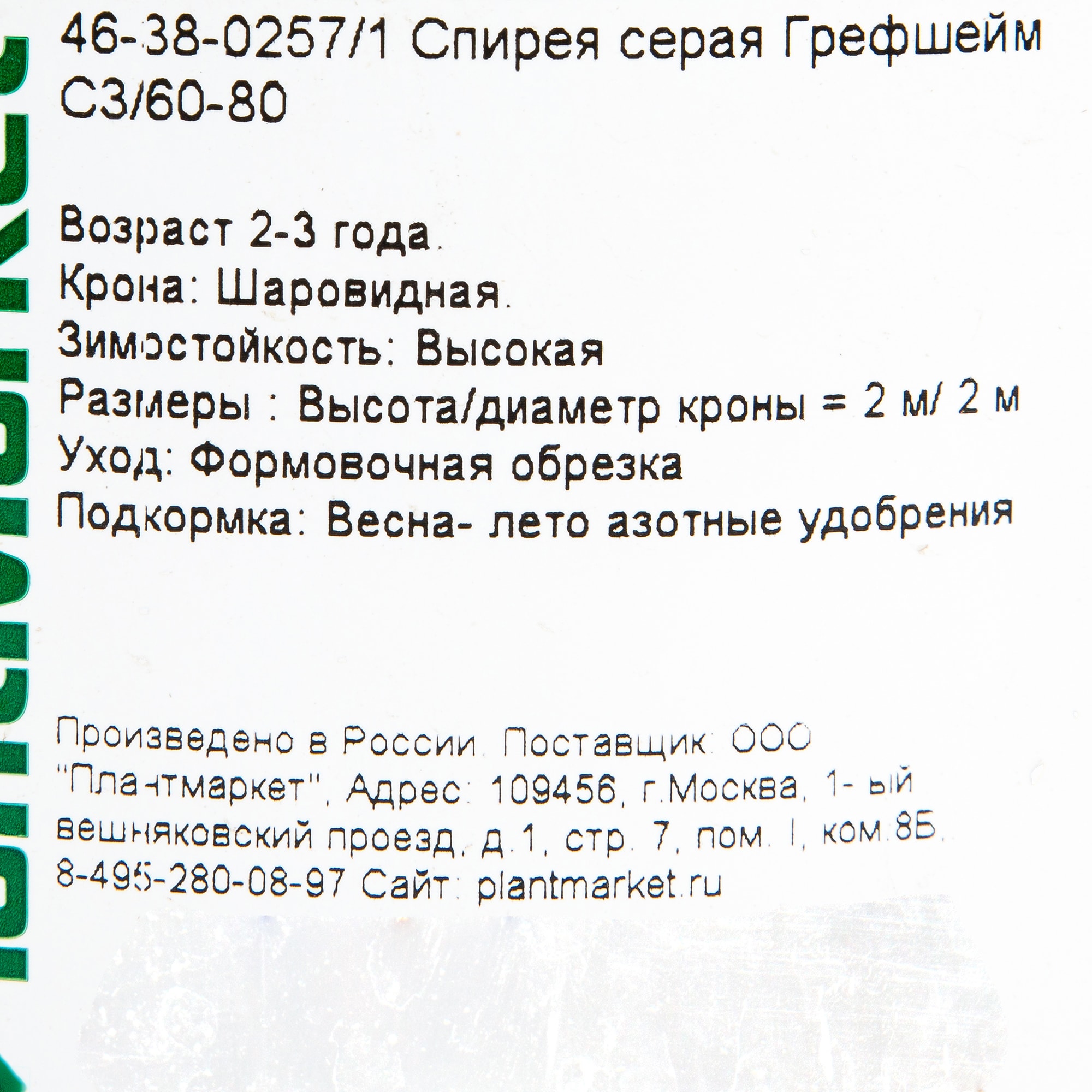18468699 Спирея серая «Грефшейм», С3/60-80 см Santreyd  - Вид №1