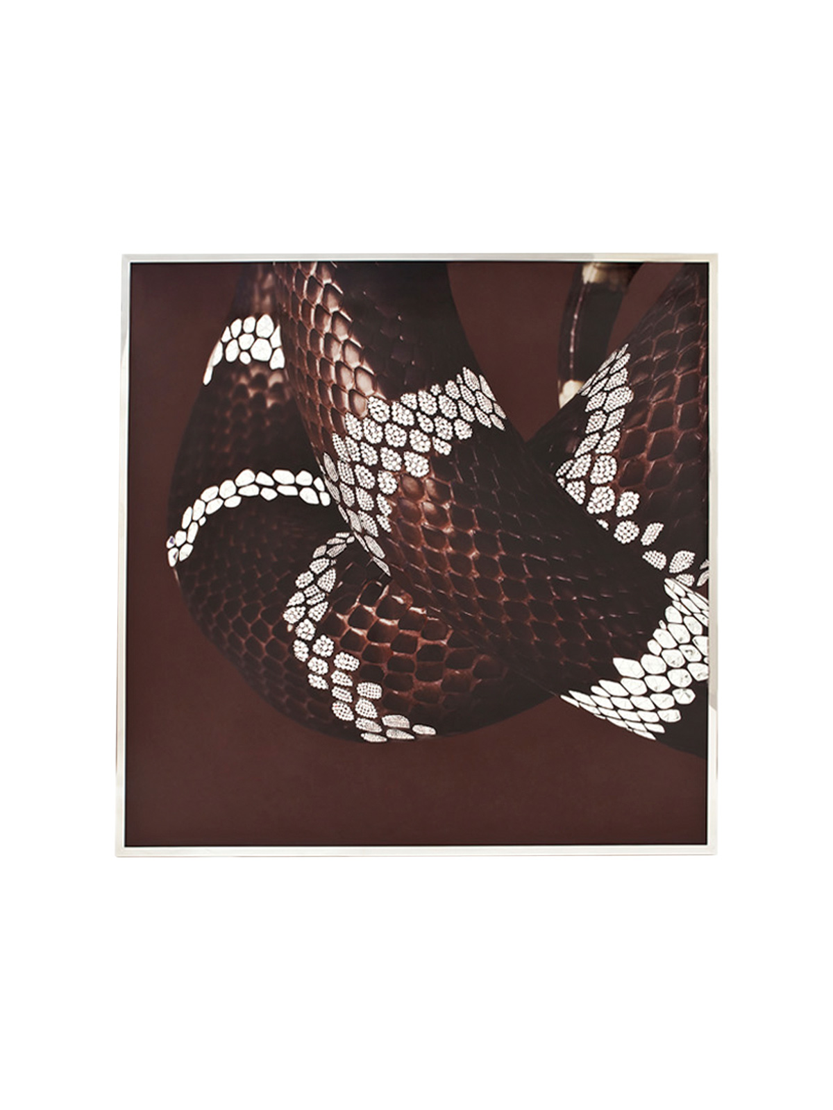 Serpenti Смешанная техника Visionnaire  - Вид №2