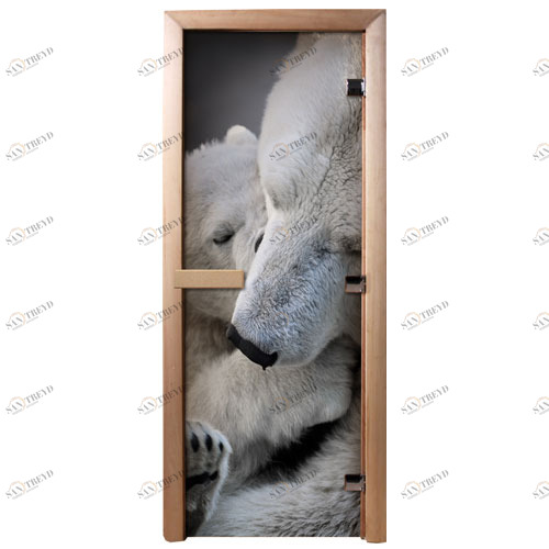 DoorWood Дверь с фотопечатью А066 5550