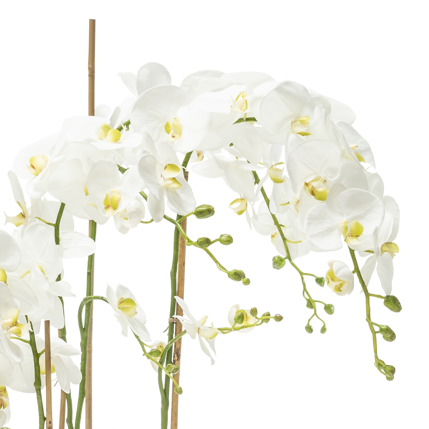 210210-10 ABHIKA ВАЗА ДЛЯ РАСТЕНИЙ PHALENOPSIS MOSS H145 WHITE  - Вид №1