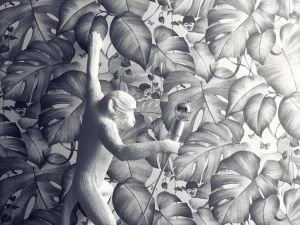 Architects Paper Тропические обои Colibri