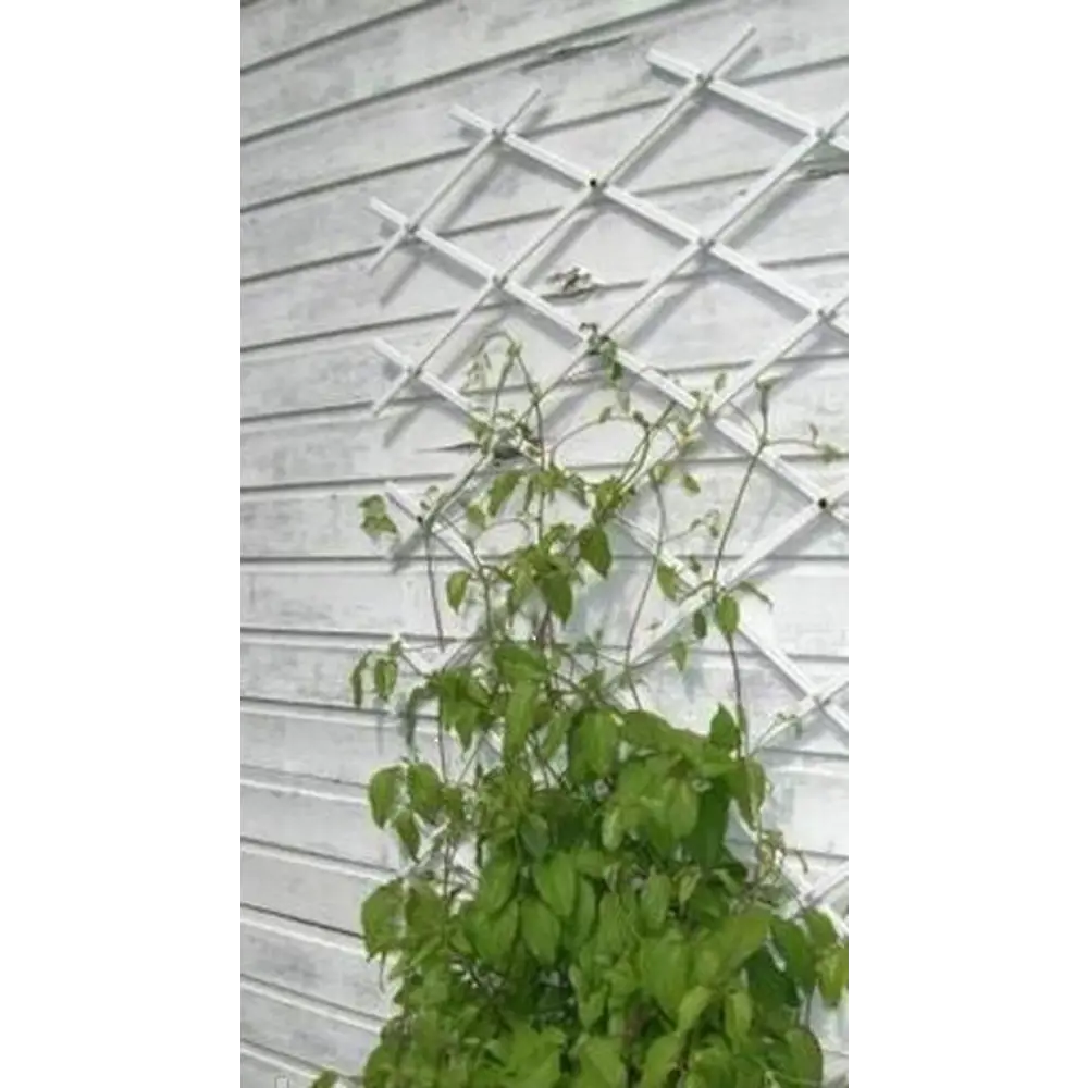 Santreyd Шпалера для вьющихся растений 38×188 см 83823778 STLM-0044732 - Вид №2