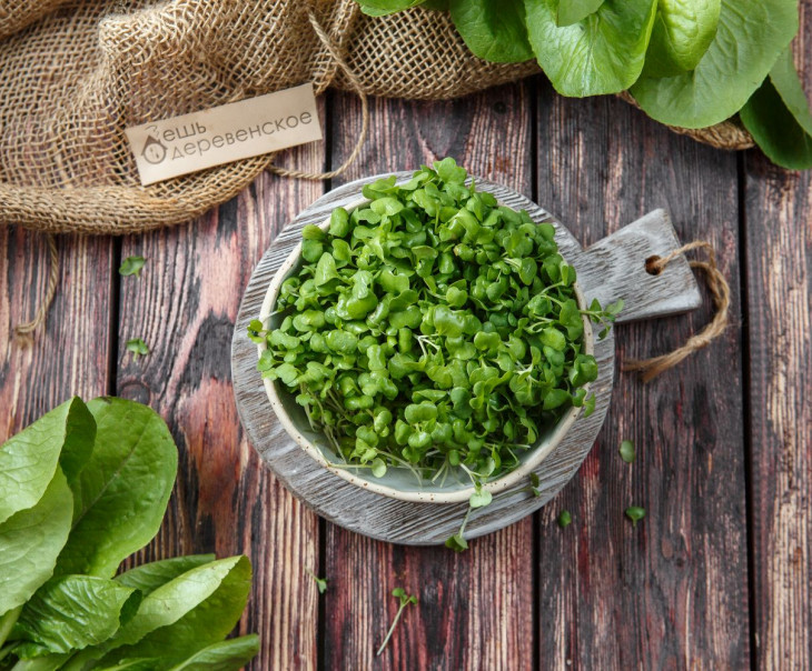 4921 Микрозелень кейла Вкусляндия 