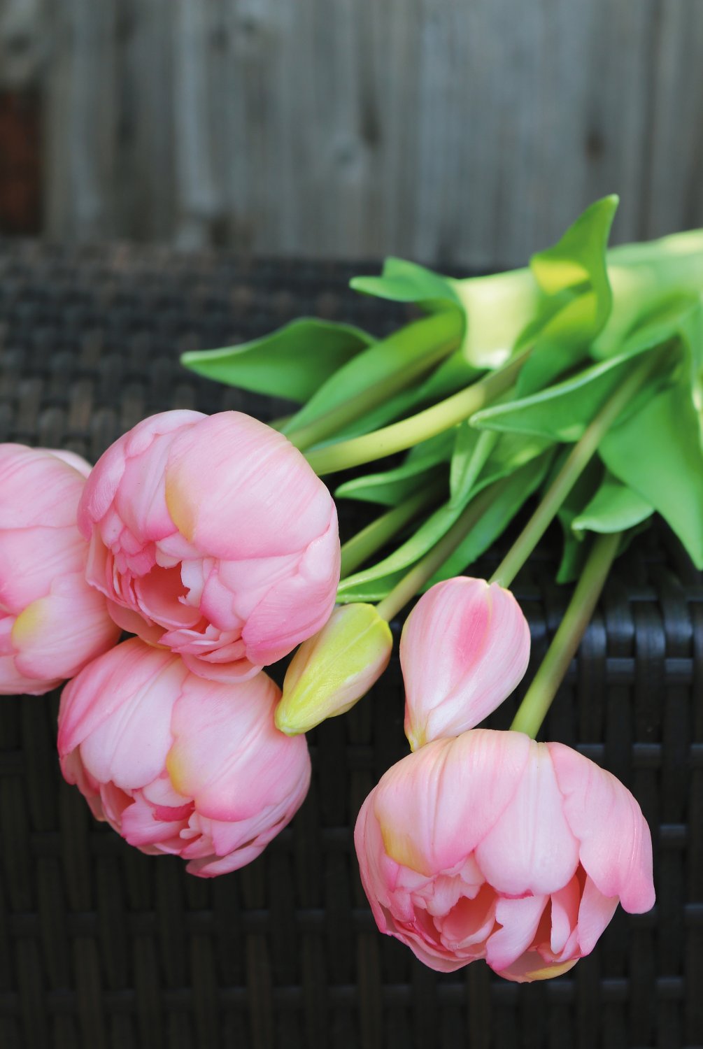 2946 508 a3 Тюльпан шелковые цветы, в горшке, 5-кратный, 22 см, real touch, розово-зеленый H-andreas  - Вид №8