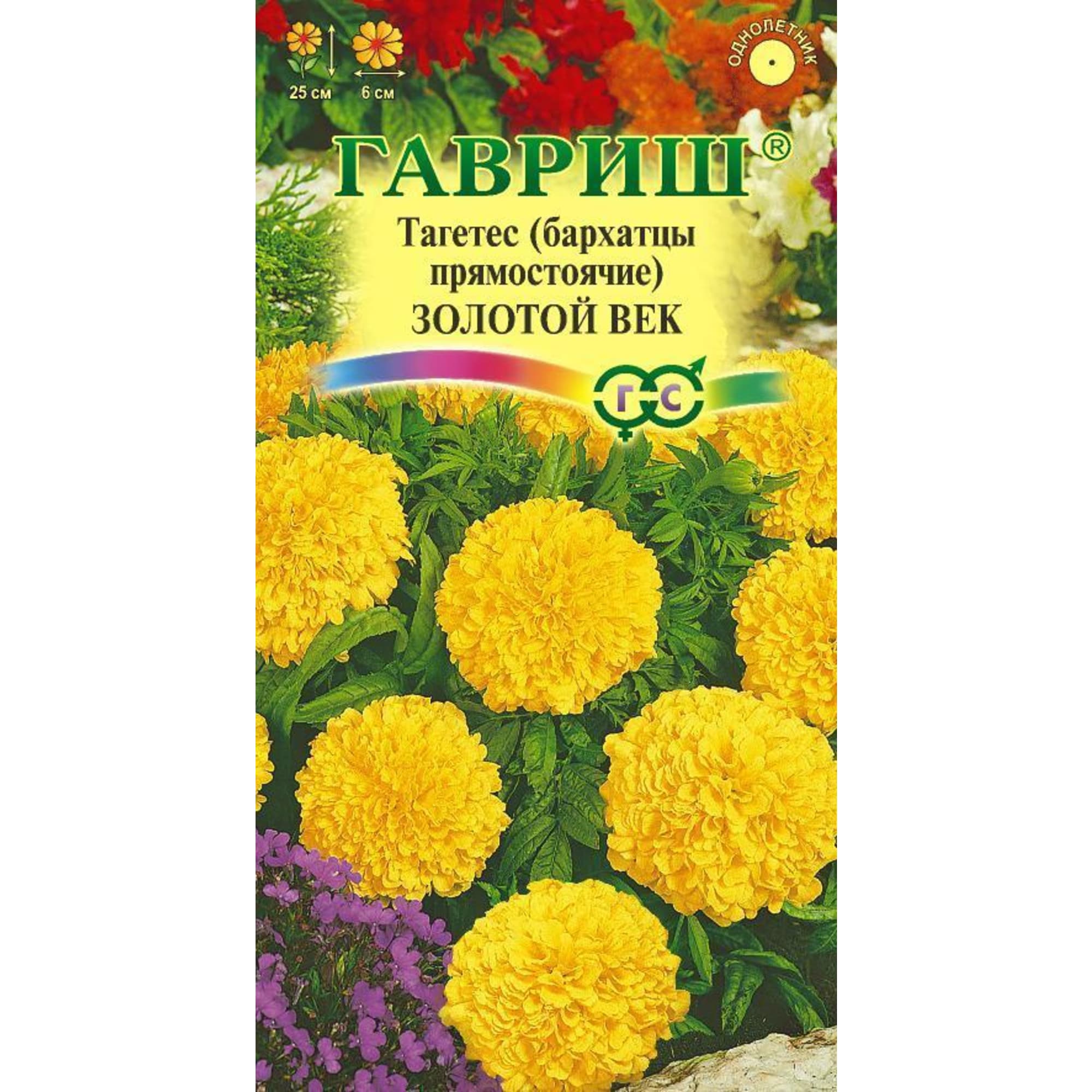Бархатцы Золотой век от ГАВРИШ - компактные золотистые цветы для сада 83606915 STLM-0042445
