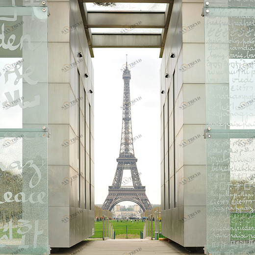 D2-015 Фотообои DIVINO Collection D 2.7х3 м D2015