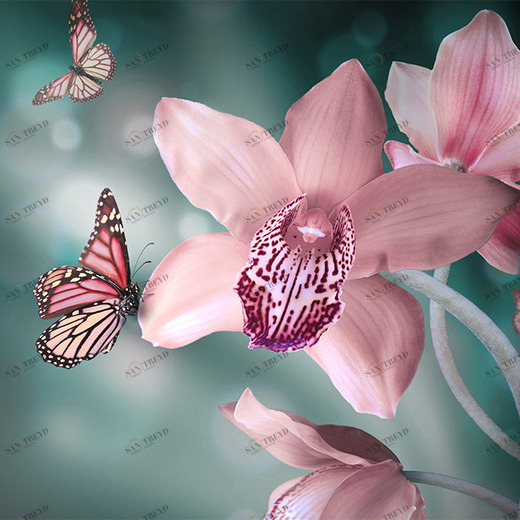 A1-046 Фотообои DIVINO Collection A 2.38х3 м A1046