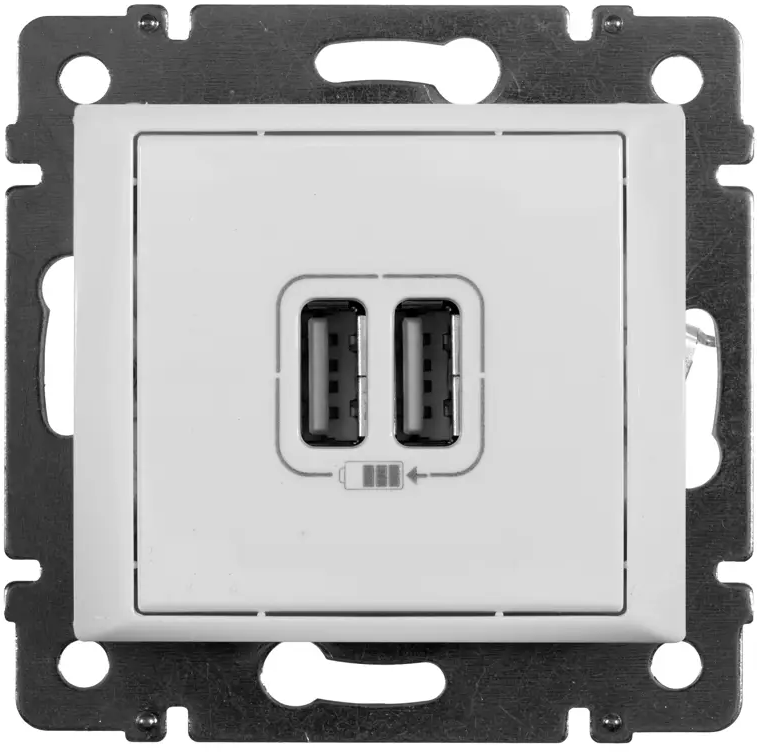 Зарядная розетка Legrand Valena Classic с двумя USB-портами 82307209