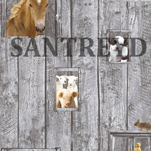 35842-1 Обои A.S. Creation Little Stars 358421