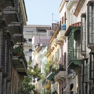 1315/C Картина 1315 Adriani e Rossi