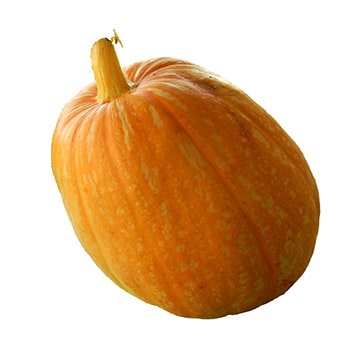 Тыква Мускатная 7 - 10 кг Santreyd 28564