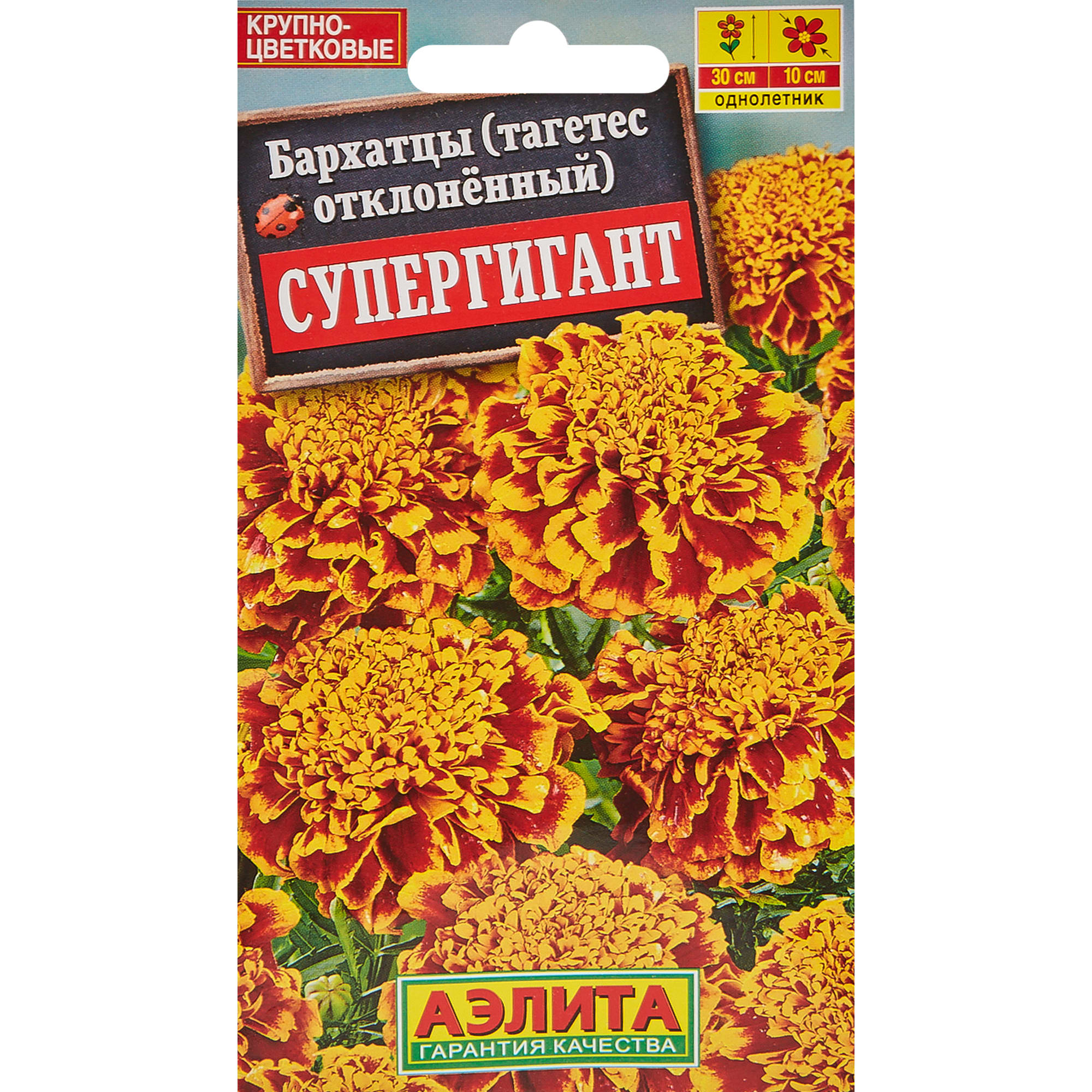 13075781 Семена цветов Бархатцы отклонённые Супергигант Santreyd 