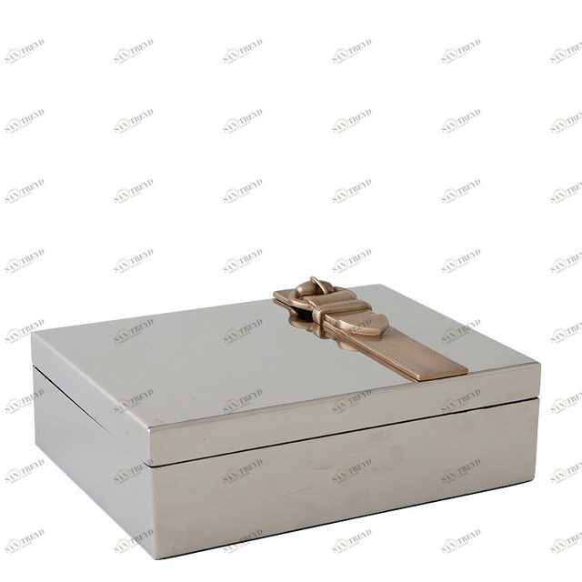 Шкатулка для драгоценностей Aladdin от Eichholtz EICHHOLTZ EICHHOLTZ 060218 Хром 