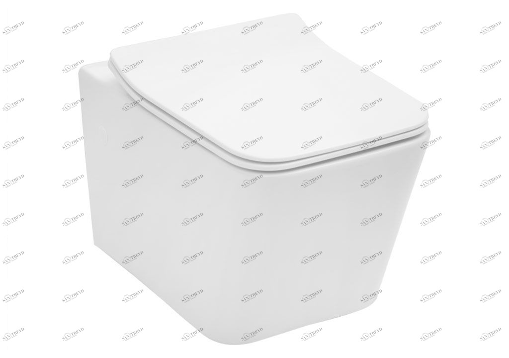 BL103NWHTH Подвесной унитаз настенный Белый Aquanet TAVR Китай