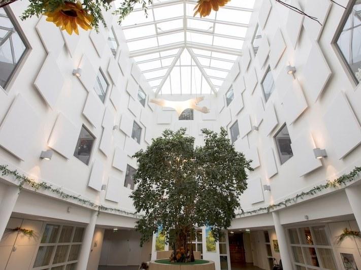 Rockfon Акустическая стеновая панель из каменной ваты sun-id-1424616 - Вид №1