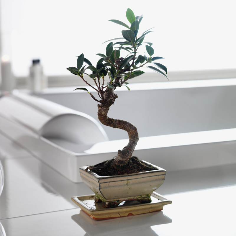 20082110-00  Тихой Ванной 190 Кв.В. 2.0 Westerbergs  - Вид №3