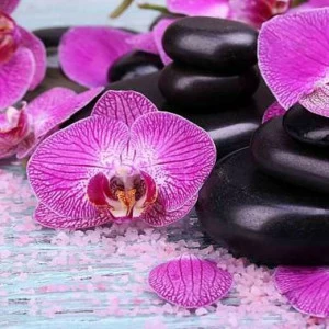 L-068 Фотообои DIVINO L&P 2х1 м