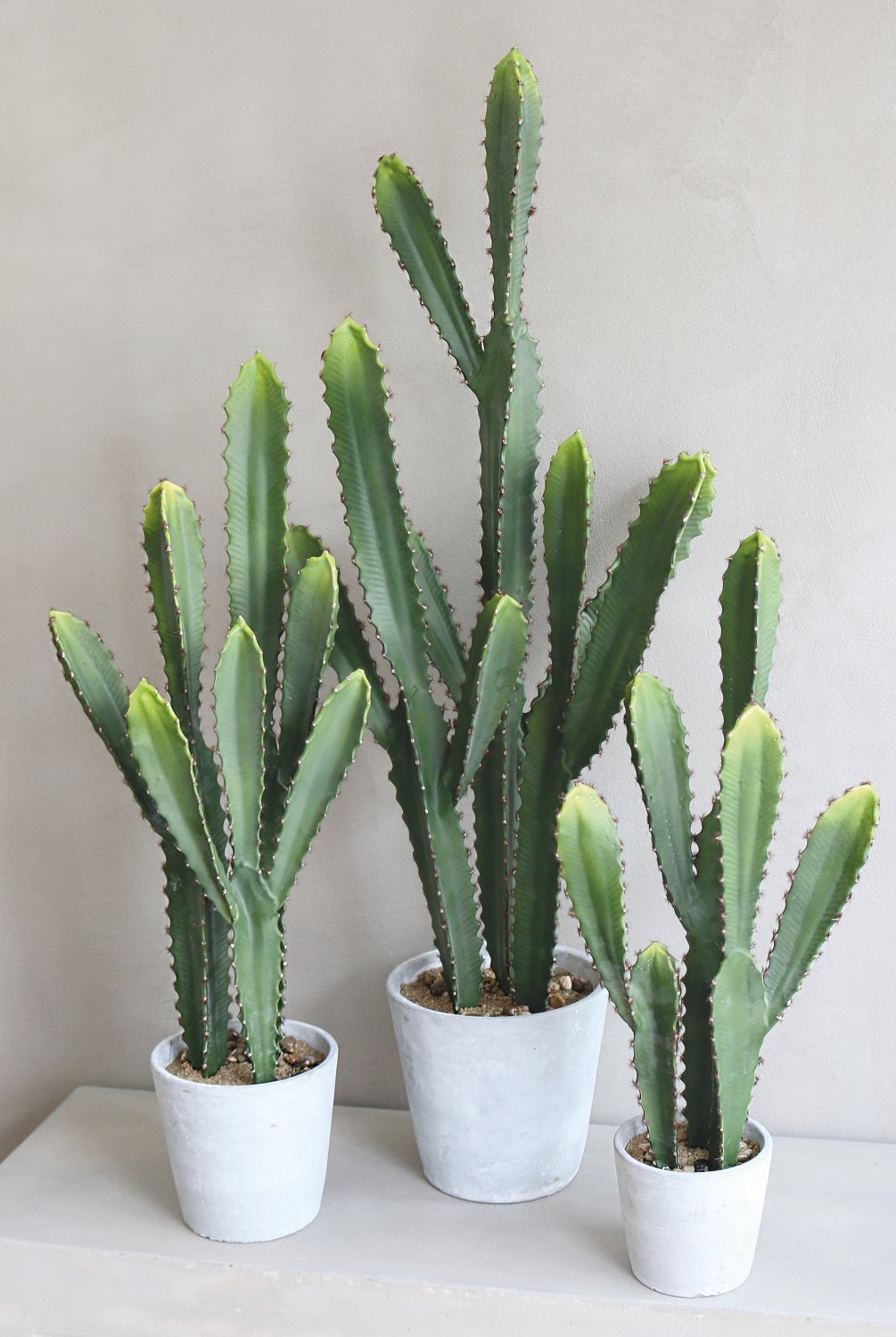 6060 883 a3 Кактус имитация столбика, горшок, 64 см, зеленый H-andreas  - Вид №5