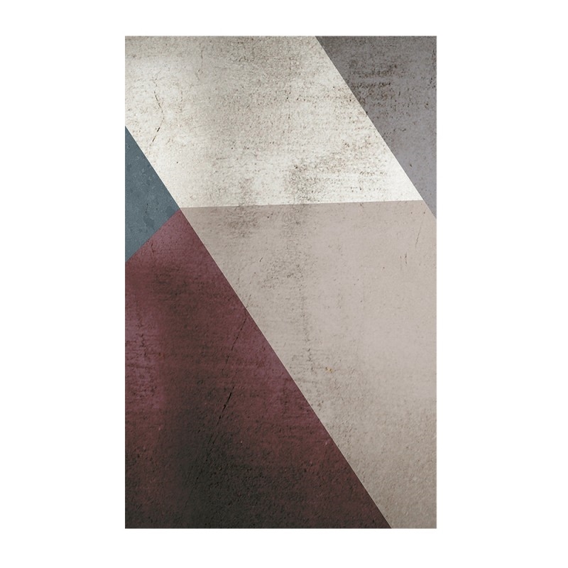 A55X50-A Книги Adriani e Rossi  - Вид №6