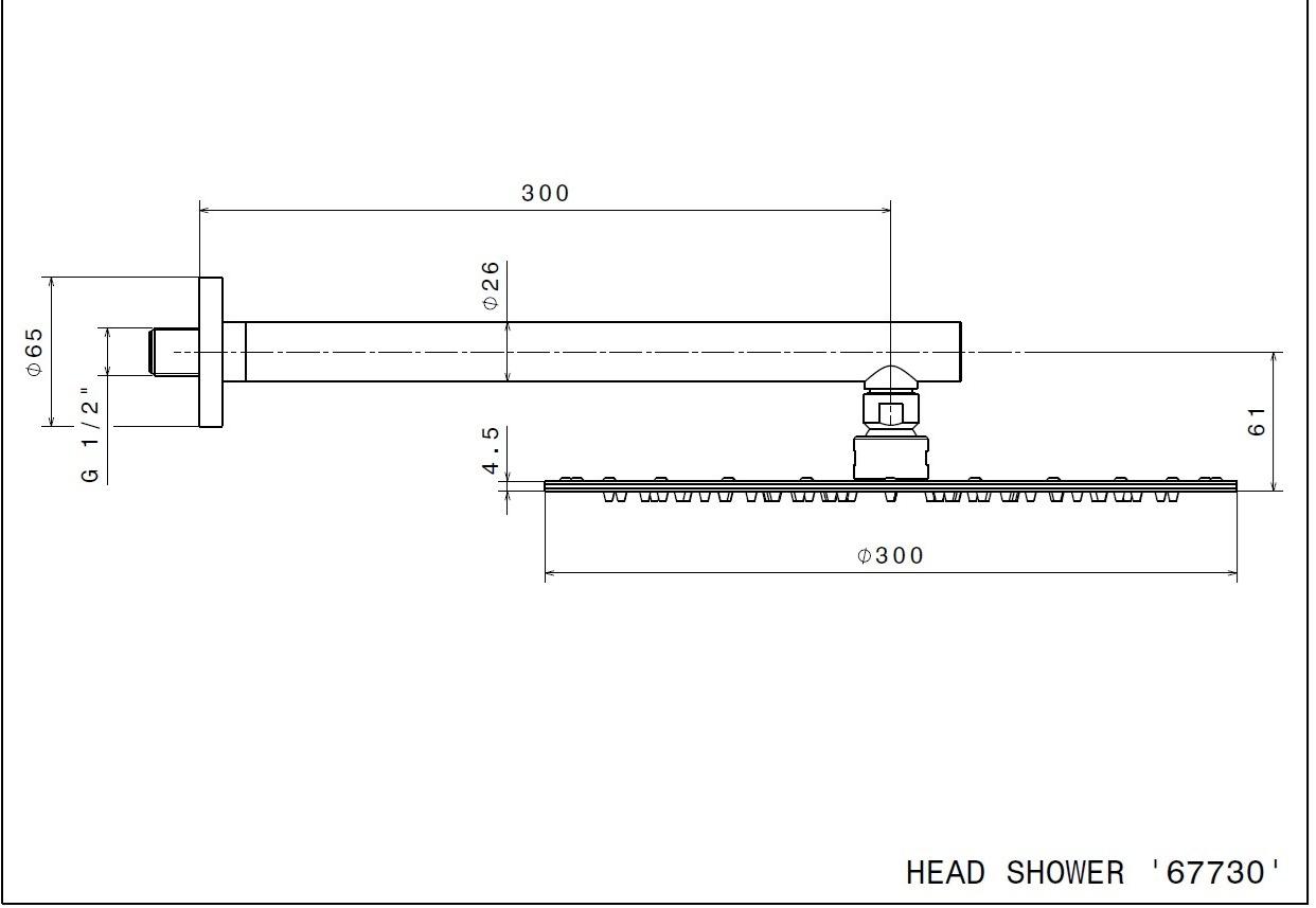 newform Настенная лейка душа с держателем Head showers 67730 - Вид №1