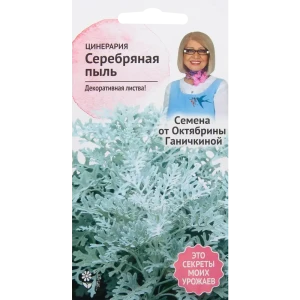 Цинерария «Серебряная пыль» 0.1 г 82481661 STLM-2094046
