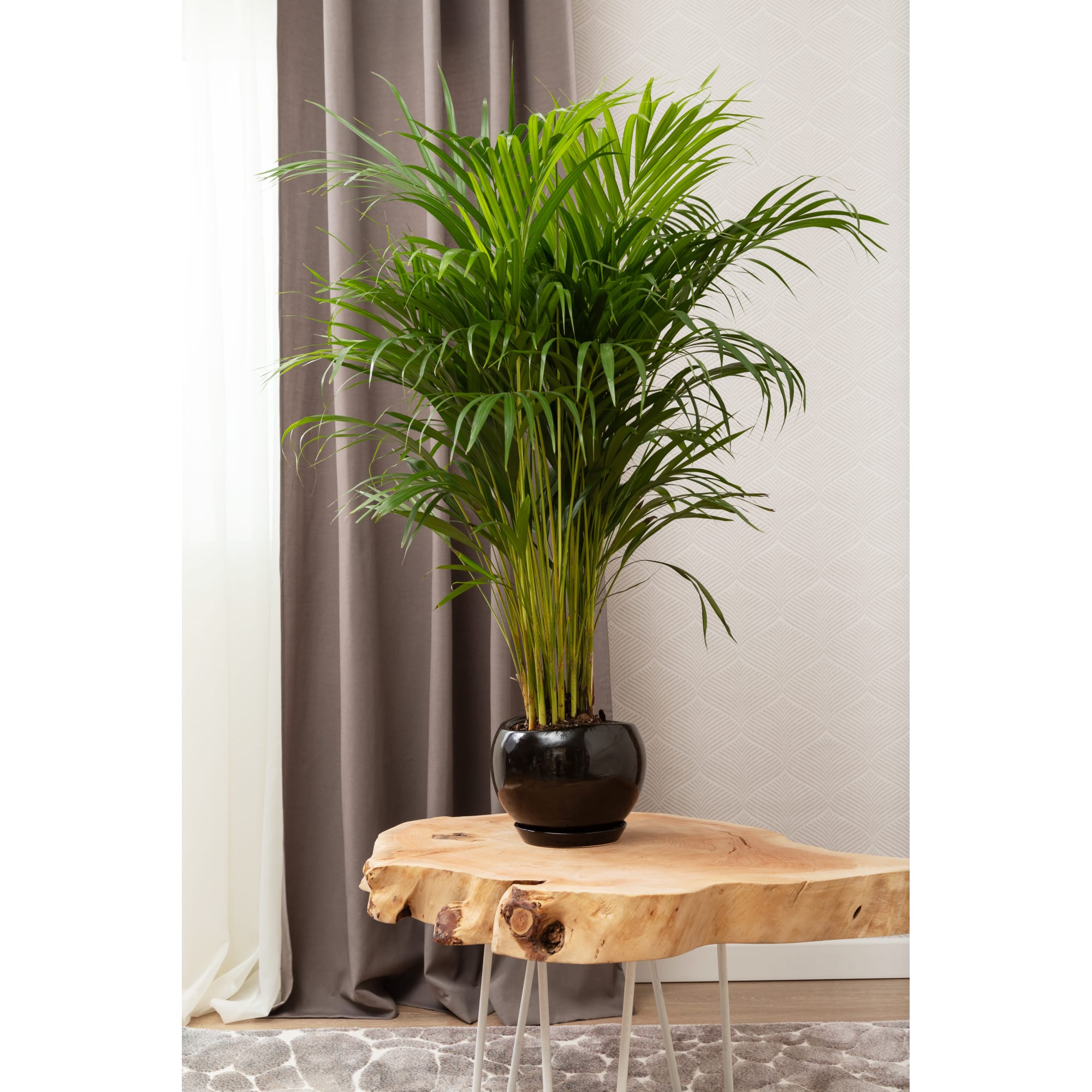 81932594 Горшок цветочный ø20 h18 см v3.5 л керамика чёрный Адель Santreyd - Вид №4