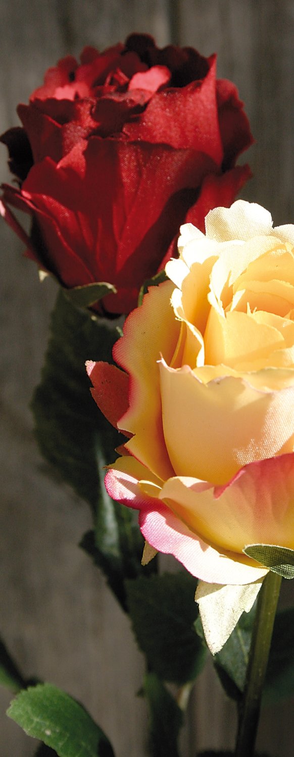 9825 444 a2 Искусственная роза, 45 см, красная H-andreas  - Вид №2