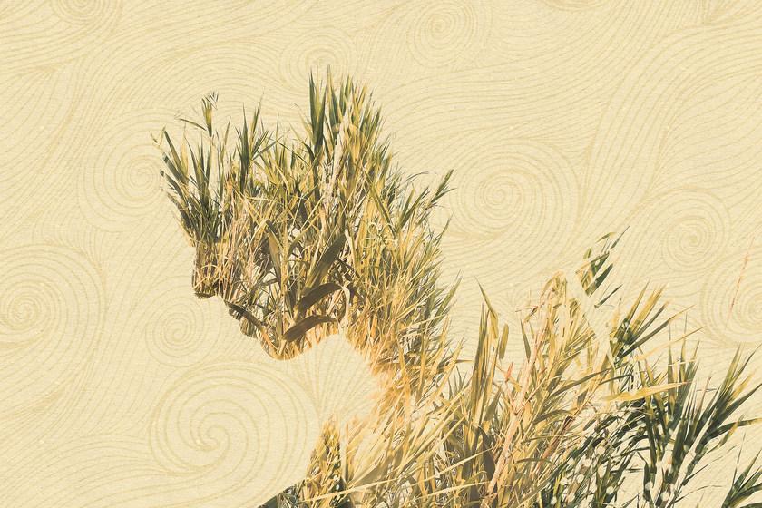 GLAMORA Моющиеся виниловые обои Spirit of nature sun-id-1357063 - Вид №1