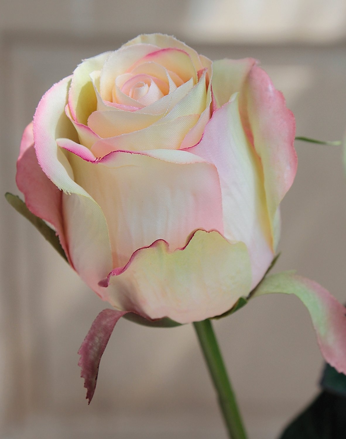 3350 508 a2 Искусственная роза, 58 см, розово-зеленая H-andreas  - Вид №1