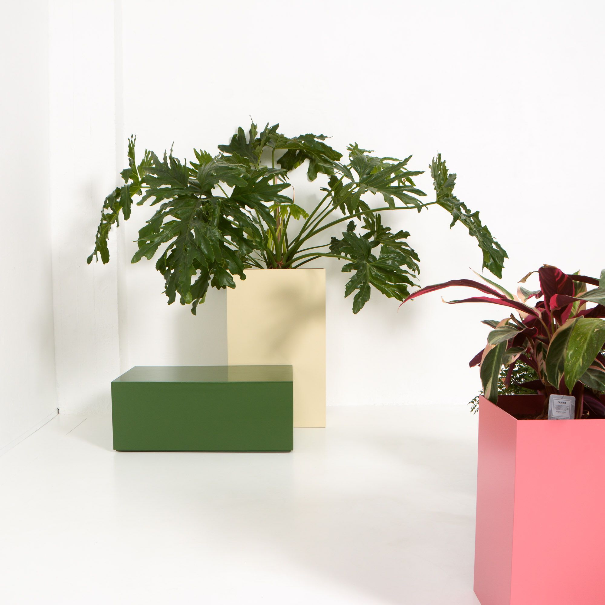 Высокая алюминиевая сеялка с порошковым покрытием SIXINCH PLANTER ARCH-00090881 - Вид №11