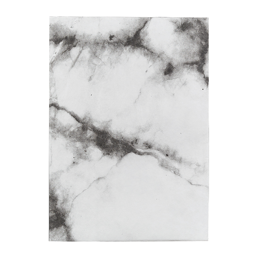 NC-124 Обложка на паспорт - new moonlight; сделан из tyvek® New wallet 