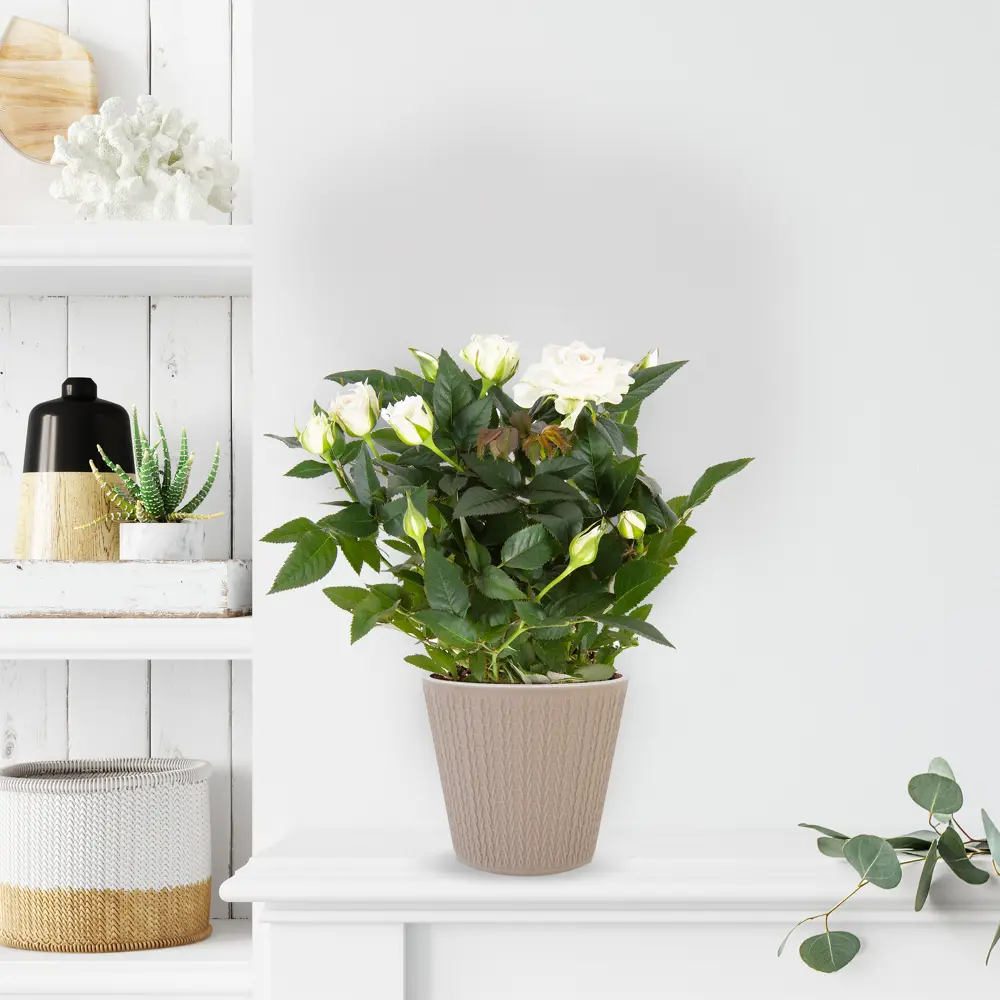 Santreyd Ajur — ажурный горшок для цветов в стиле молочный шоколад 82824901 STLM-0036582 - Вид №2