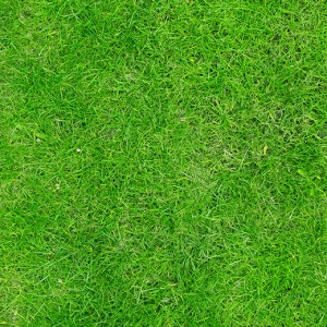 C1-238 Фотообои DIVINO Collection C 2.7х2 м