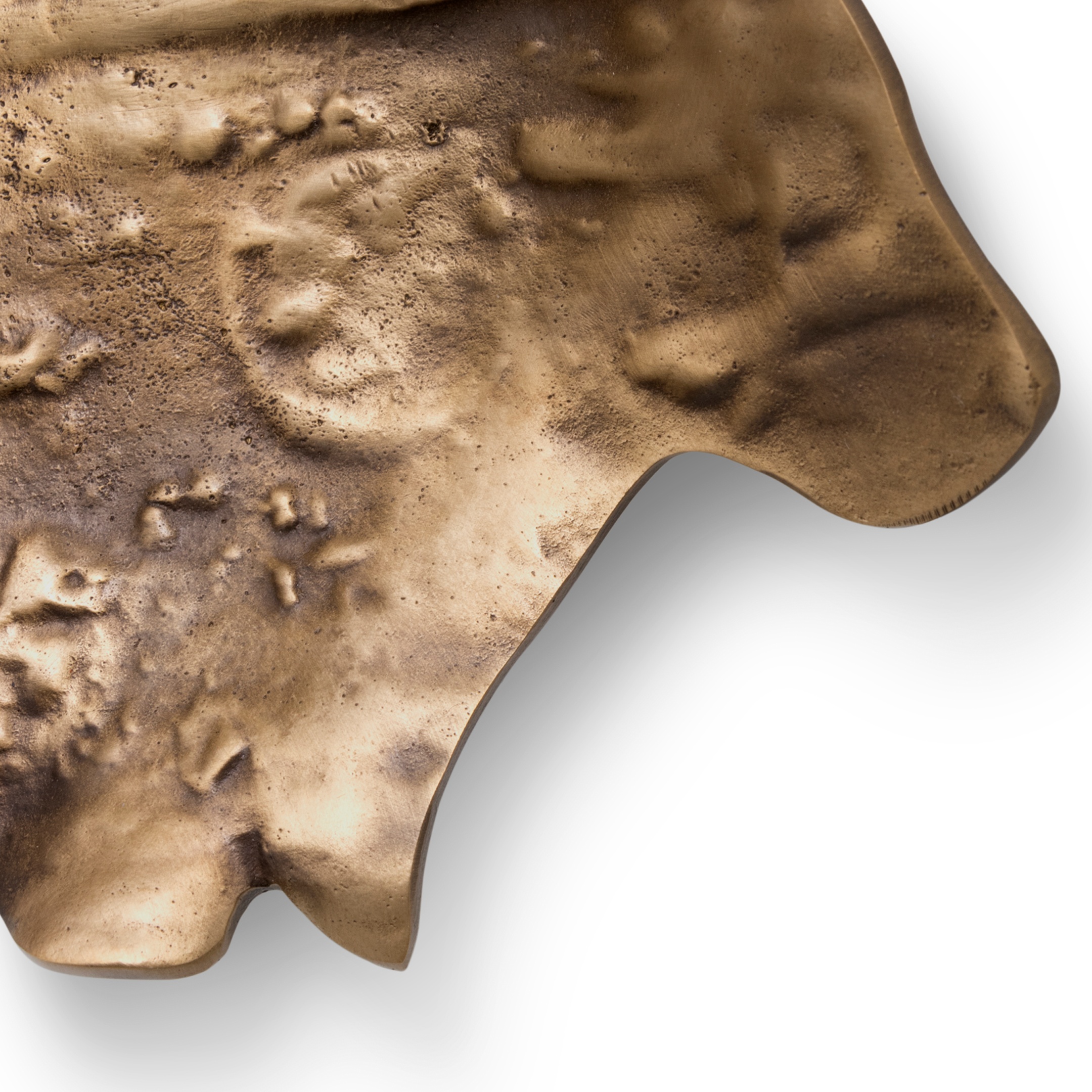 EA1053 PullCast Дверные тяги LEAF Полированная латунь  - Вид №6