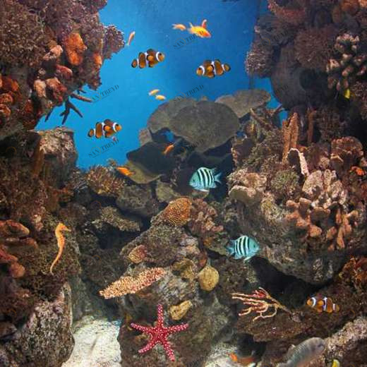 WP02415 Фотообои Verol Фотообои decoline 1х1 м