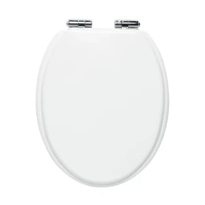Сиденье для унитаза KONSENSA Терни с микролифтом цвет белый