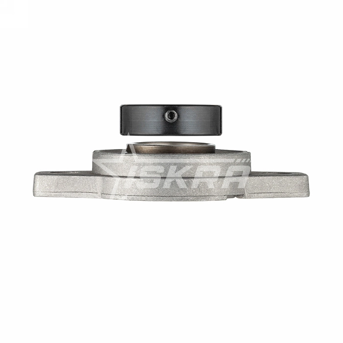 IS1988 Подшипниковый узел UFL005 ISKRA  - Вид №4