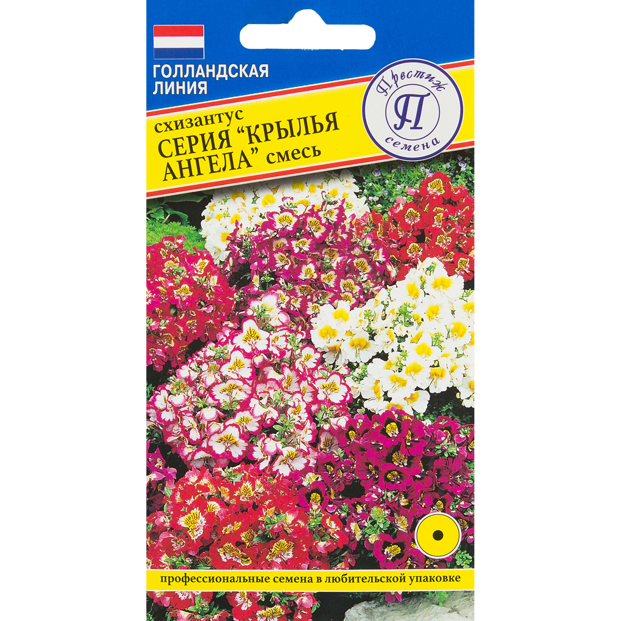 82107747 Схизантус «Крылья ангела» Santreyd 