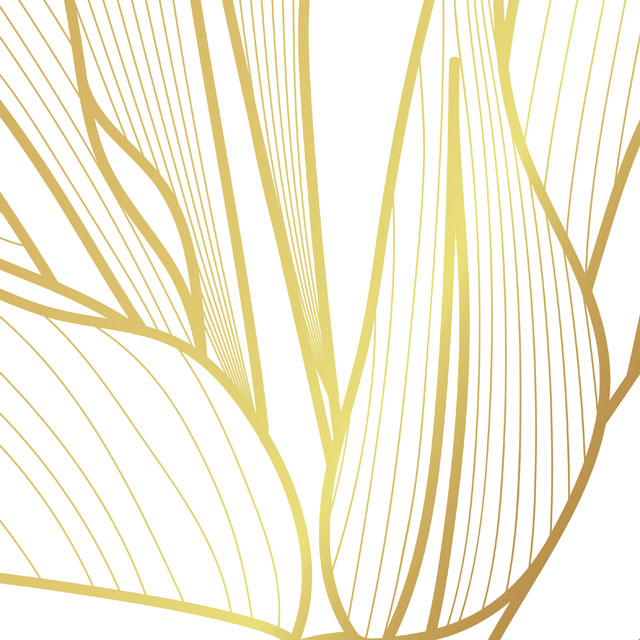 Стеновые панели - Голд флори LIGRON LIST52 2186 - Вид №3