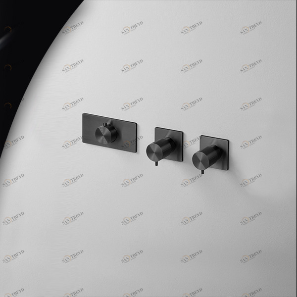 Термостат для душа AICO TER55C карбон Radomonte